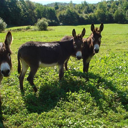L'Oree Des Bois Dommartin-Les-Cuiseaux Luaran gambar